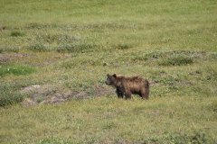 20230724DSC_0038