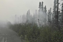 20230729DSC_0403