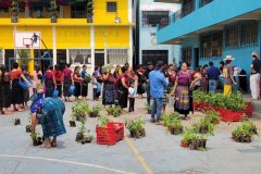 Distribution de plants sur la place du village