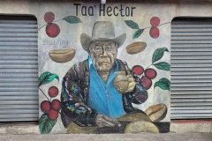 Les fresques murales : une institution !