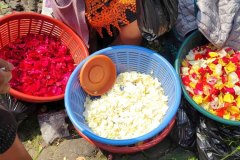 Vente de pétales de fleurs