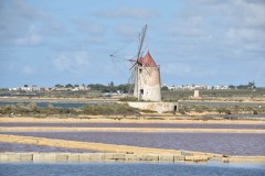 20221015DSC_030815-octobre-2022