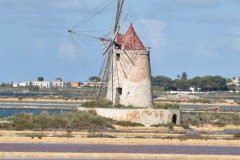 20221015DSC_031515-octobre-2022