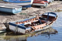 20221016DSC_057216-octobre-2022