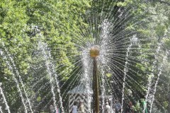 20190716DSC_0607