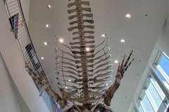 20230805_165916