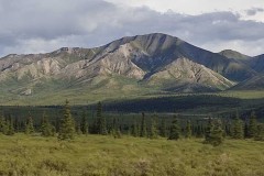 IMG_20230807_190500